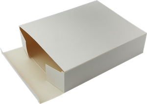 Einteilige Verpackung (24,5x19,5x53) 504118